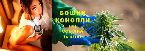бошки Пересвет