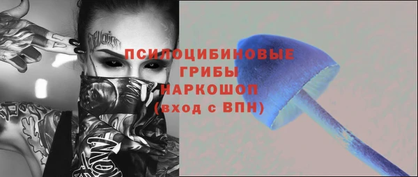 а пвп мука Галич