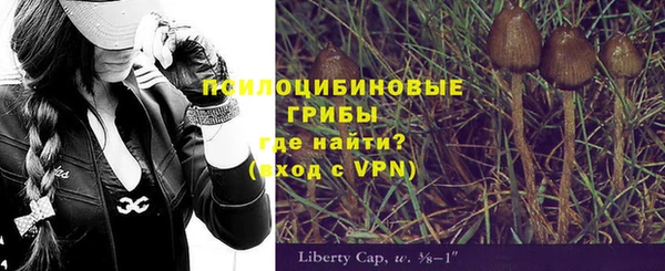бошки Пересвет