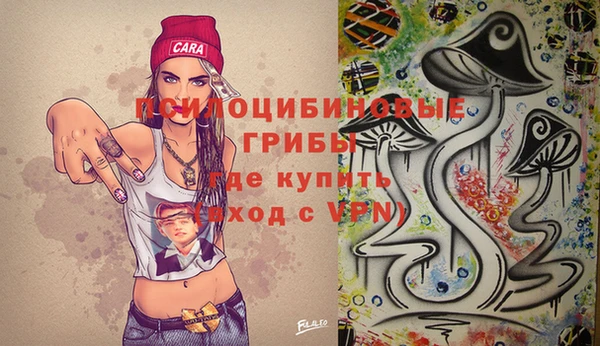 бошки Пересвет