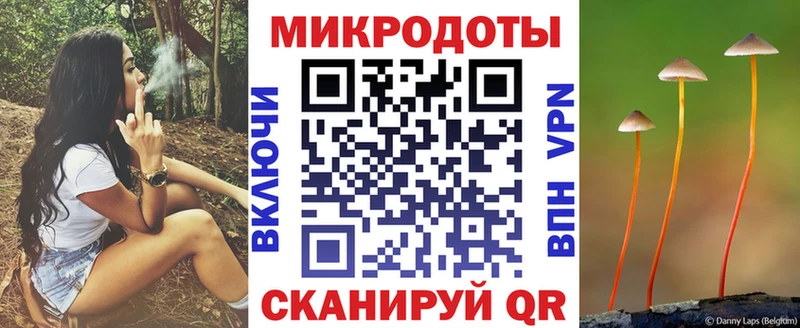 Псилоцибиновые грибы Psilocybe  Аксай 