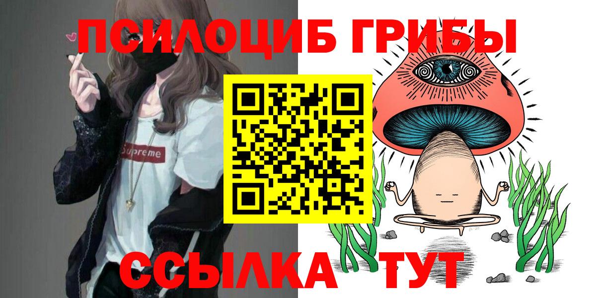 Псилоцибиновые грибы Cubensis  наркотики  Псилоцибиновые грибы мицелий  Аксай 