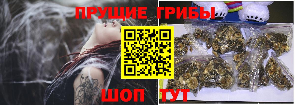 Галлюциногенные грибы мицелий Аксай