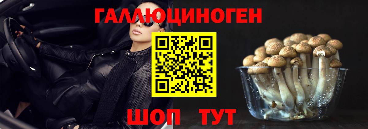 цены   Галлюциногенные грибы MAGIC MUSHROOMS  Вход с VPN  Аксай 